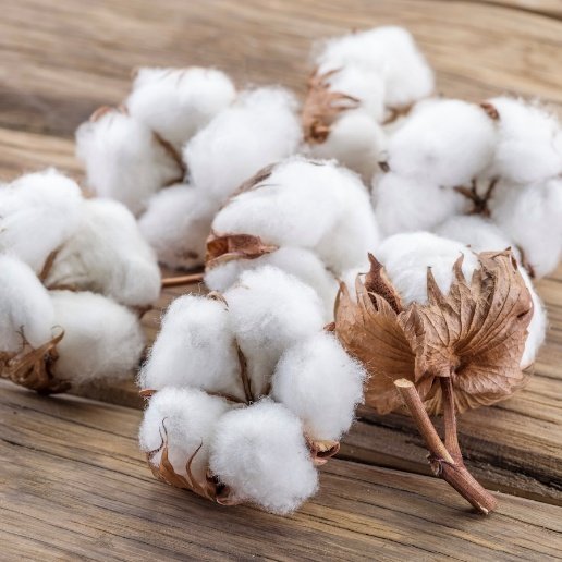 Pakistani Cotton export product